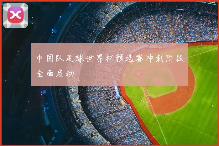 中国队足球世界杯预选赛冲刺阶段全面启动