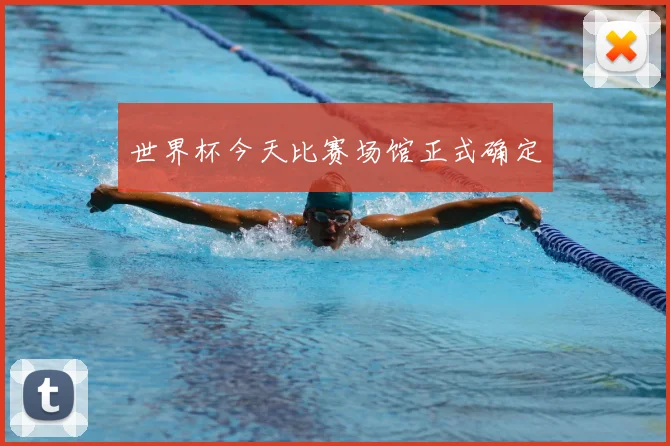 世界杯今天比赛场馆正式确定